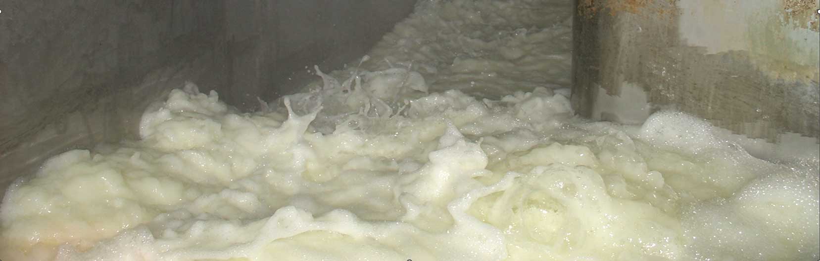 Defoaming in a white water tray